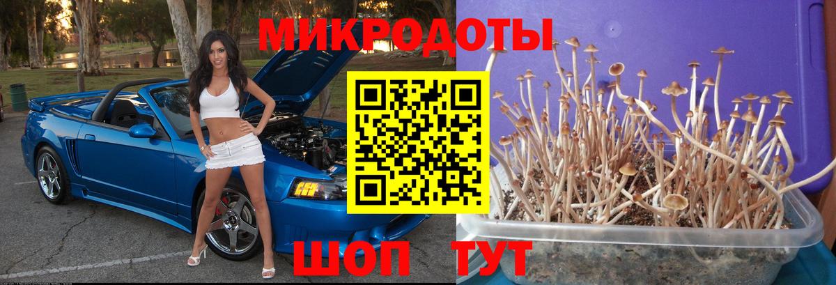 Псилоцибиновые грибы мухоморы Бахчисарай
