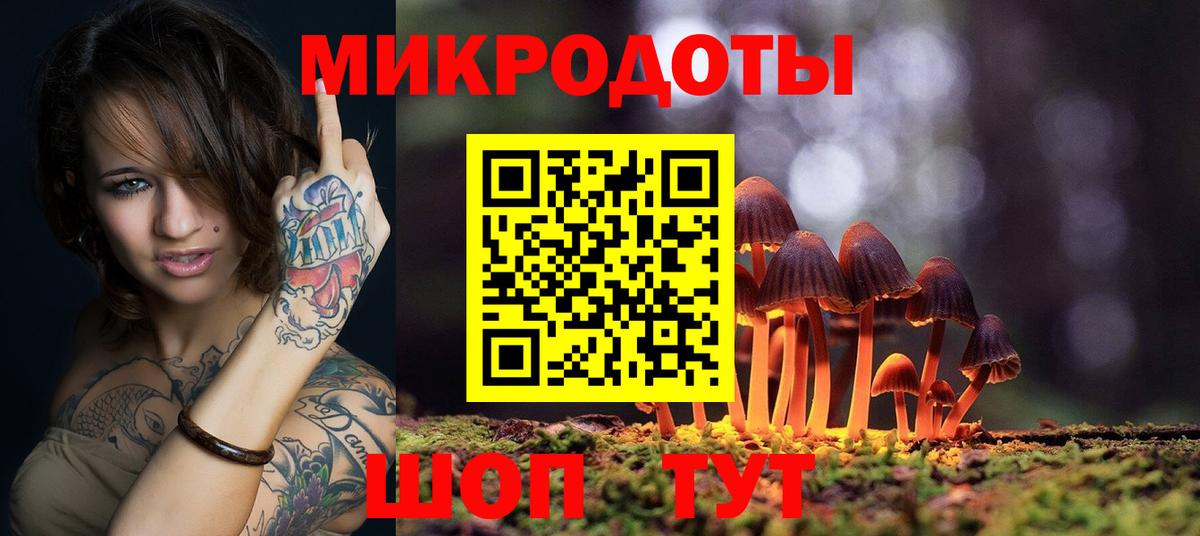 Бахчисарай  Галлюциногенные грибы Psilocybe  Вход с VPN  Галлюциногенные грибы прущие грибы 